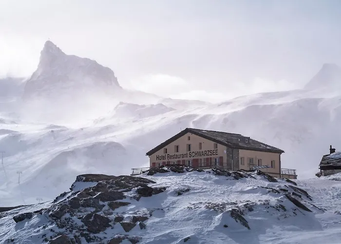 Hotel economici a Zermatt